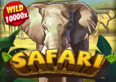 safari